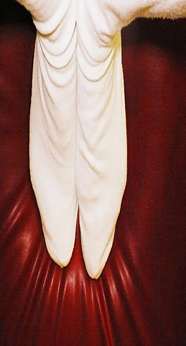   PAT BRASSINGTON   Hare , 2001 Pigment print, edition of 4 + 2 A/P 58 x 32 cm 