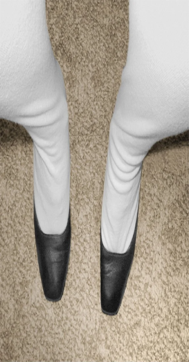   PAT BRASSINGTON   Feeding Time , 1998 Pigment print, edition of 3 + 2 A/P 68 x 35 cm 