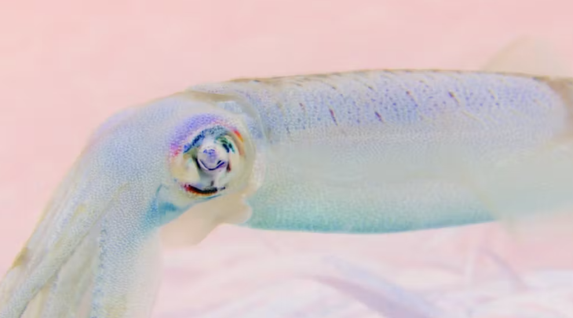 Screenshot 2026-04-07 at 4.36.39 PM.png