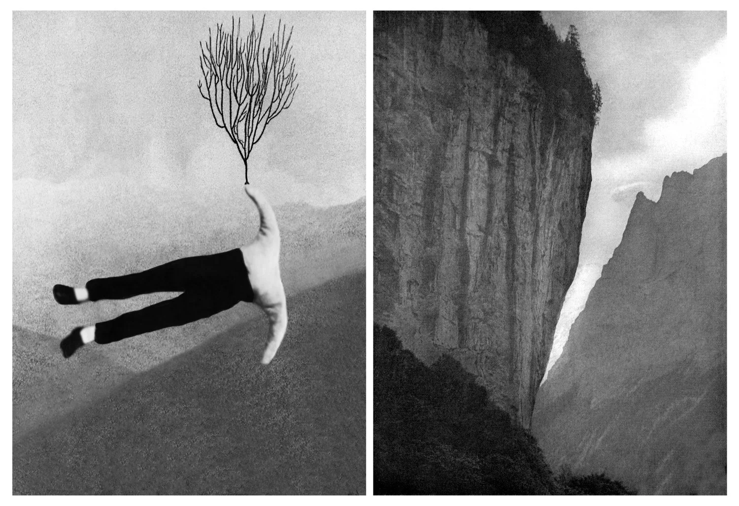   PAT BRASSINGTON   All in a dream  (diptych), 2020 Pigment print, edition of 6 + 2 A/P 115 x 168 cm (overall) 
