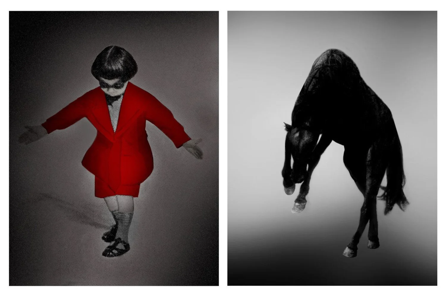   PAT BRASSINGTON   Measure for Measure #1  (diptych), 2017 Pigment print, edition of 8 + 2 A/P 85 x 65 cm (each) 