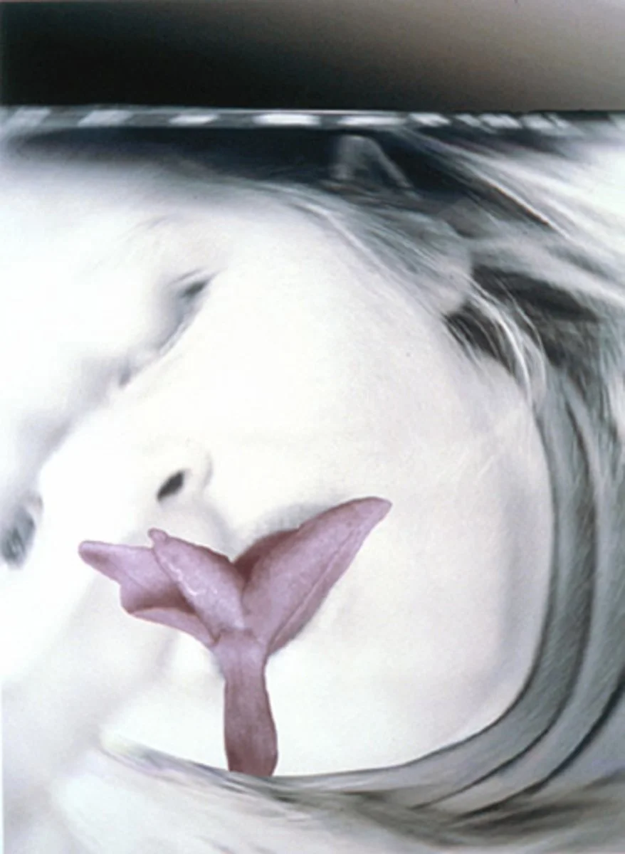   PAT BRASSINGTON   Lisp , 1997 Pigment Print, edition of 5 + 2 A/P 110 x 80 cm 