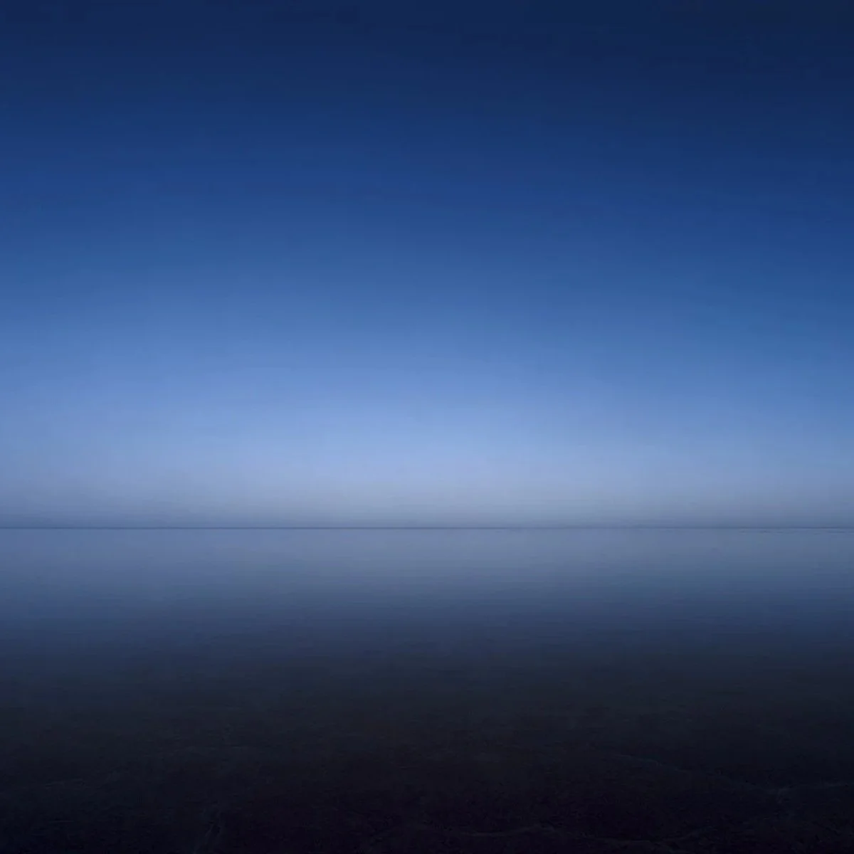 dfafa8b7-7c20-47f3-a246-08e7b74a0c63-l.jpg