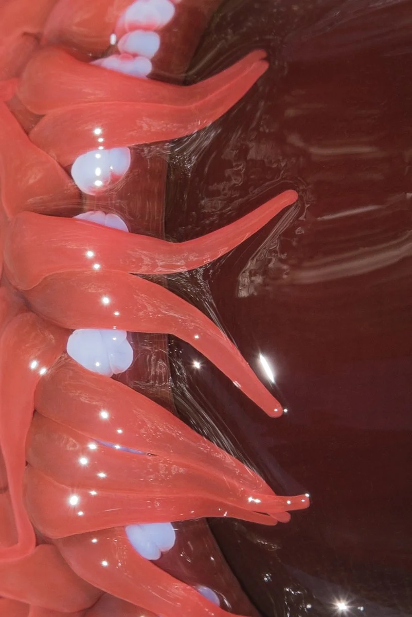 ef76556c-445c-46fa-9d4c-a477f3ea108c-l (1).jpg