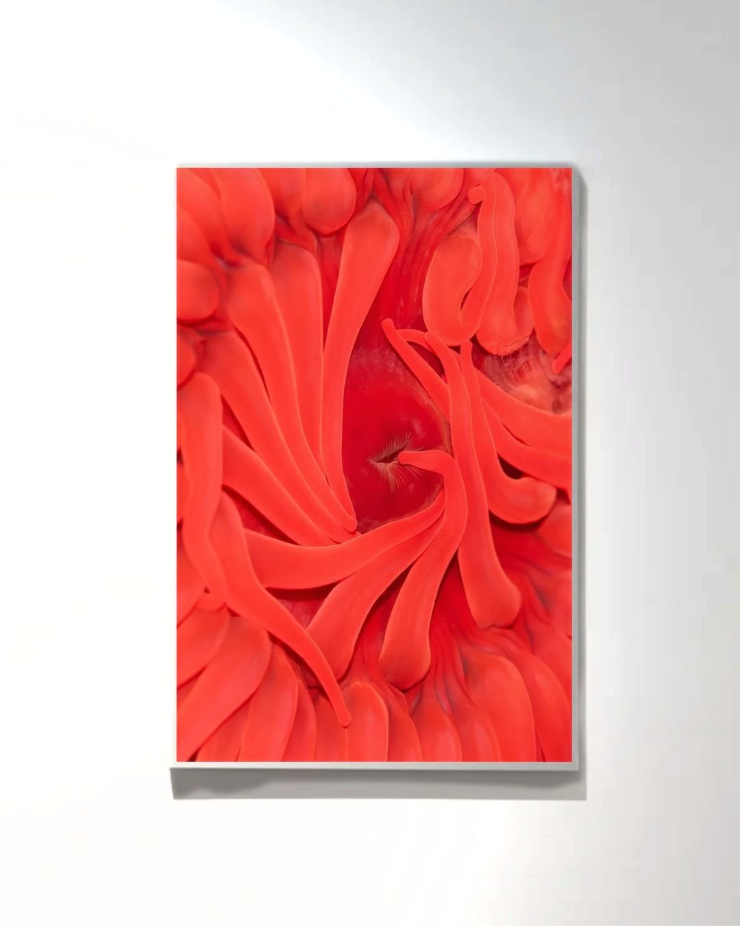Untitled design (3).jpg
