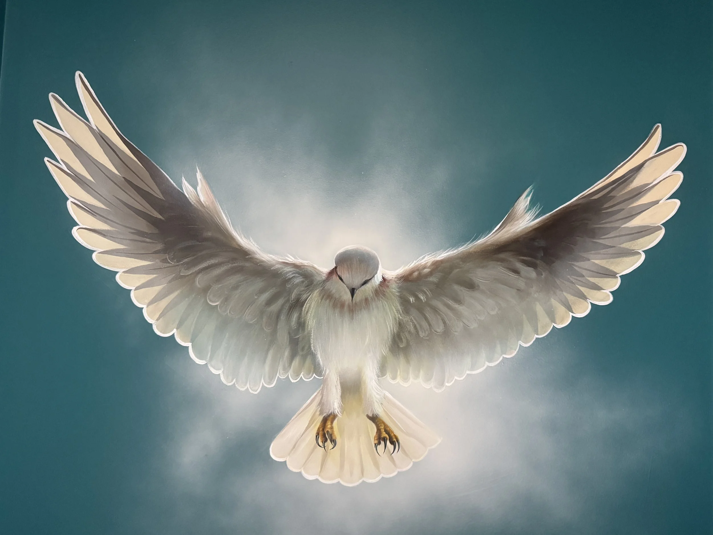 black winged kite on ceiling.jpg