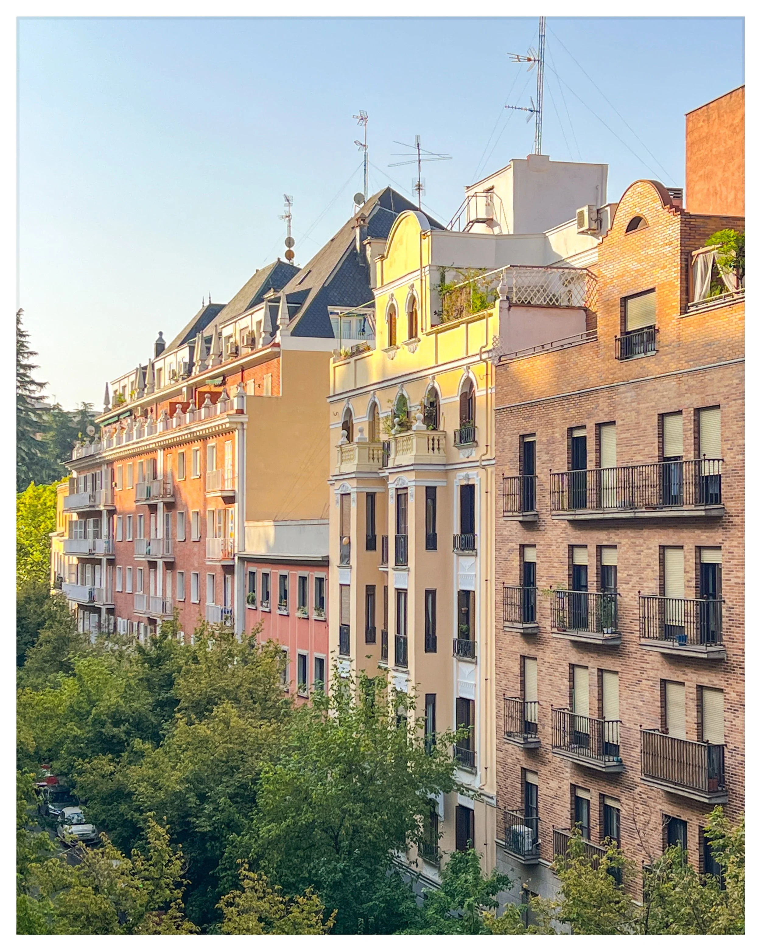 074D2AFE-C4E5-4868-8127-BE10E909AC15 3.JPEG