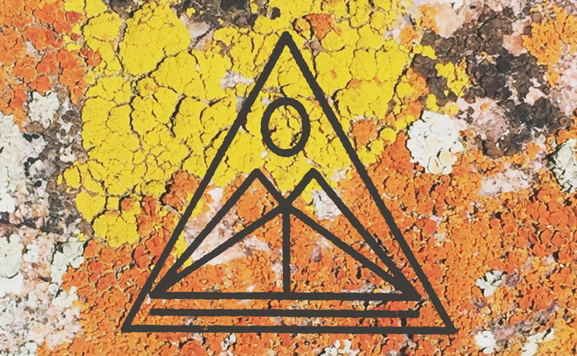 92087003-7DDA-4F8D-92B1-3E5D156598FC