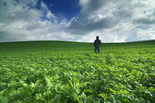 12 Tough Truths that Help You Grow