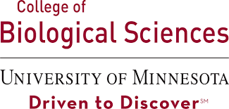 cbs umn.png