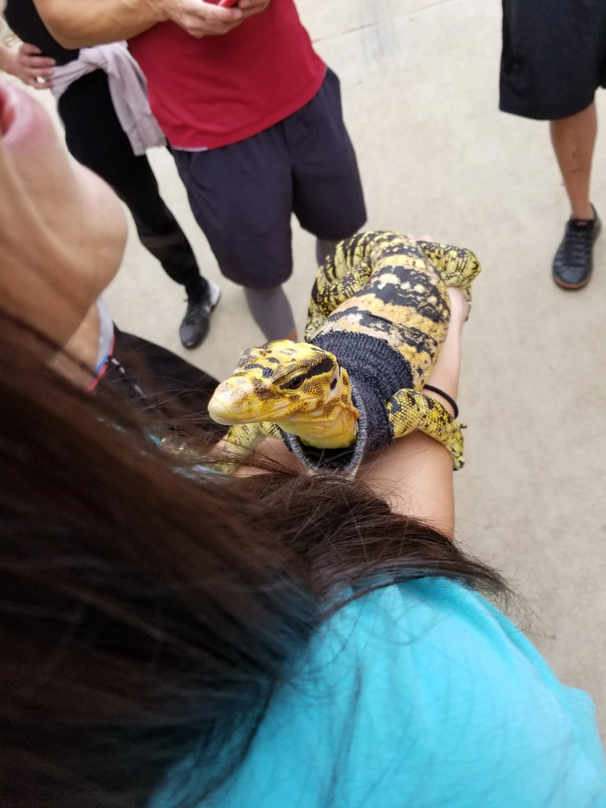 20170806_194147.jpg