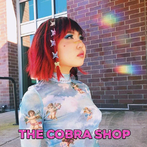 the cobra shop.gif