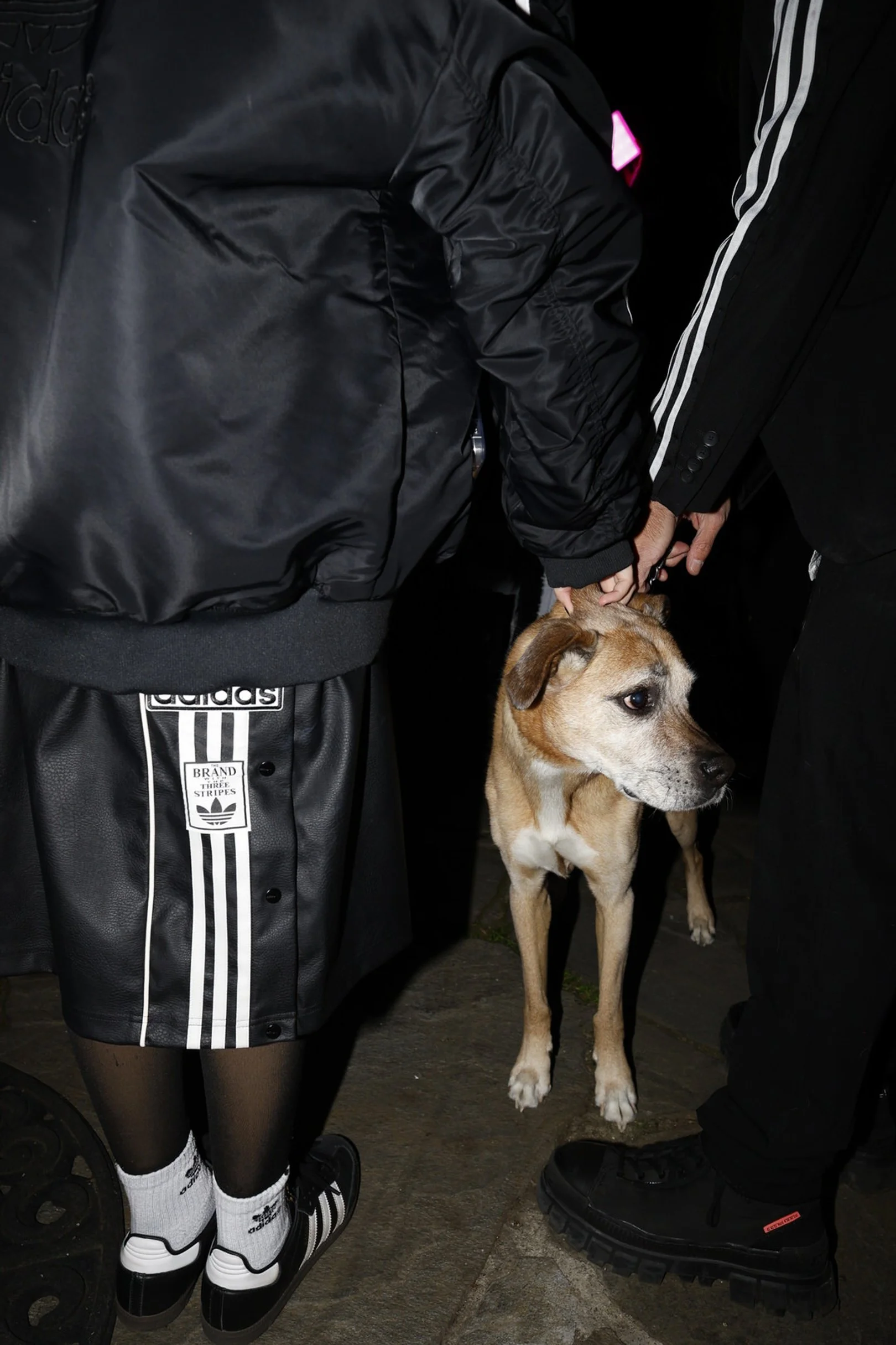 gopnik135_R1A0613.JPG.JPG