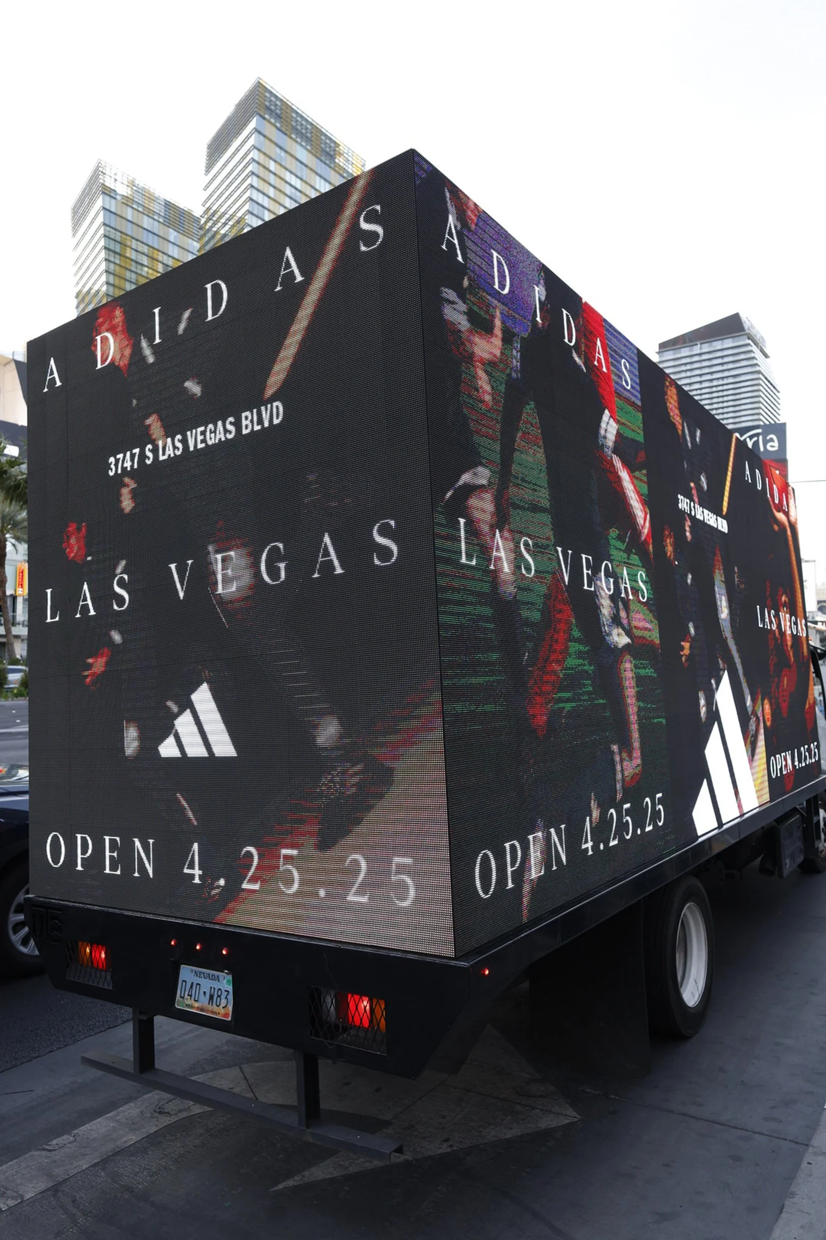 adidas-vegas-thecobrasnake007_WNY9553.JPG.JPG