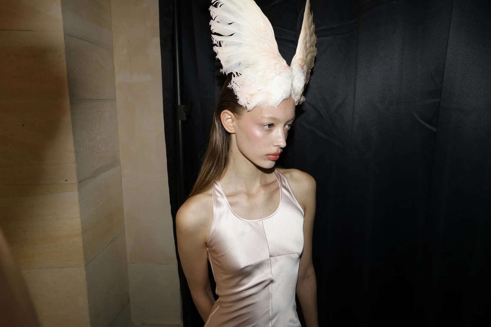 Matières Fécales1881_R1A0192.JPG.JPG