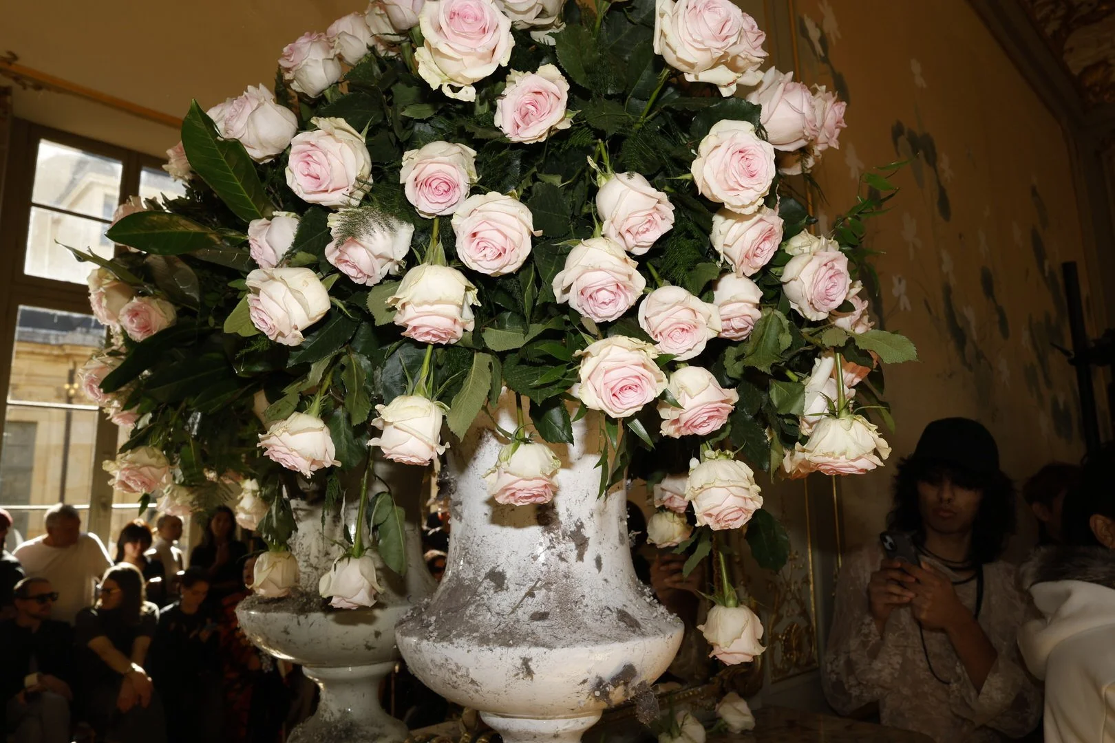 Matières Fécales1954_R1A0535.JPG.JPG