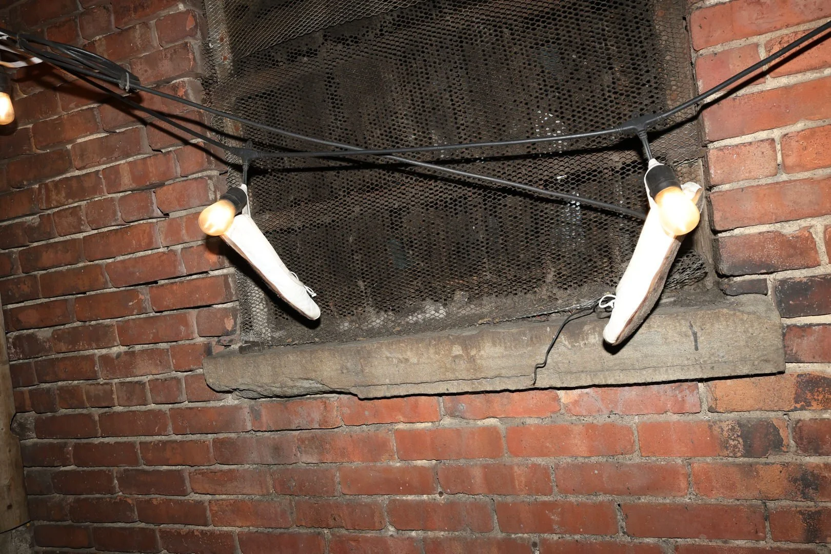 DY1A0905.JPG
