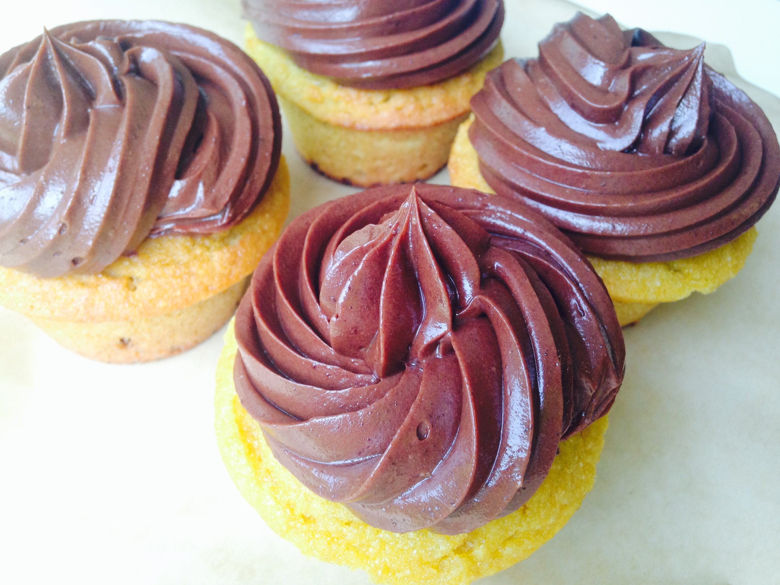 chocolate frosted cupcakes.jpg