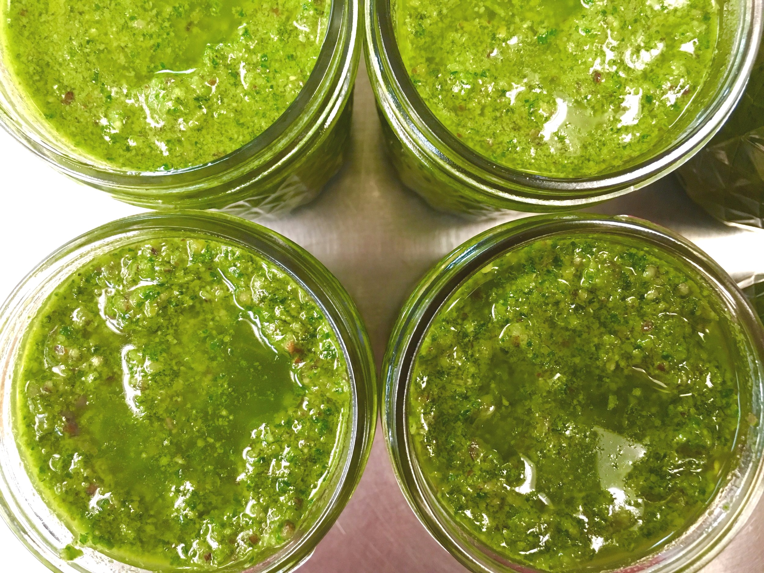 lemony+kale+pesto.jpg