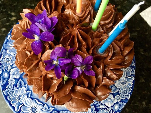 Rain-soaked violets from our yard on Figaro&rsquo;s 5th birthday cake&mdash;gluten-free/grain-free chocolate with butter frosting. #oliverwestonco #chefhannahspringer #healthybirthdaycake #violets