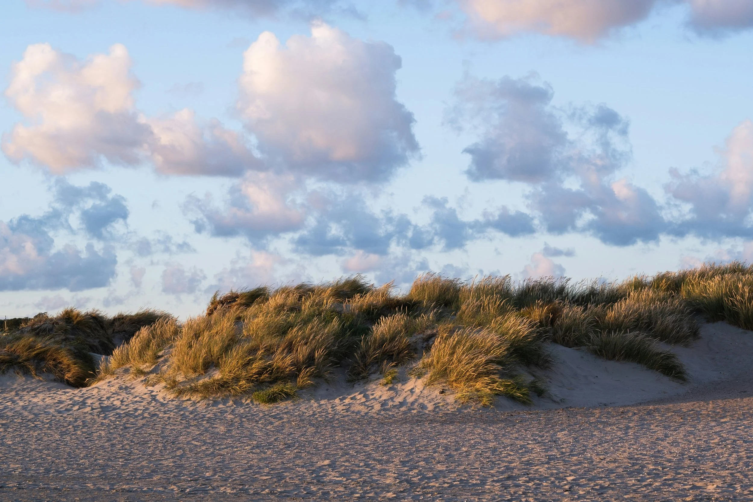samuel-bryngelsson-wIhwpP7JR_8-unsplash.jpg