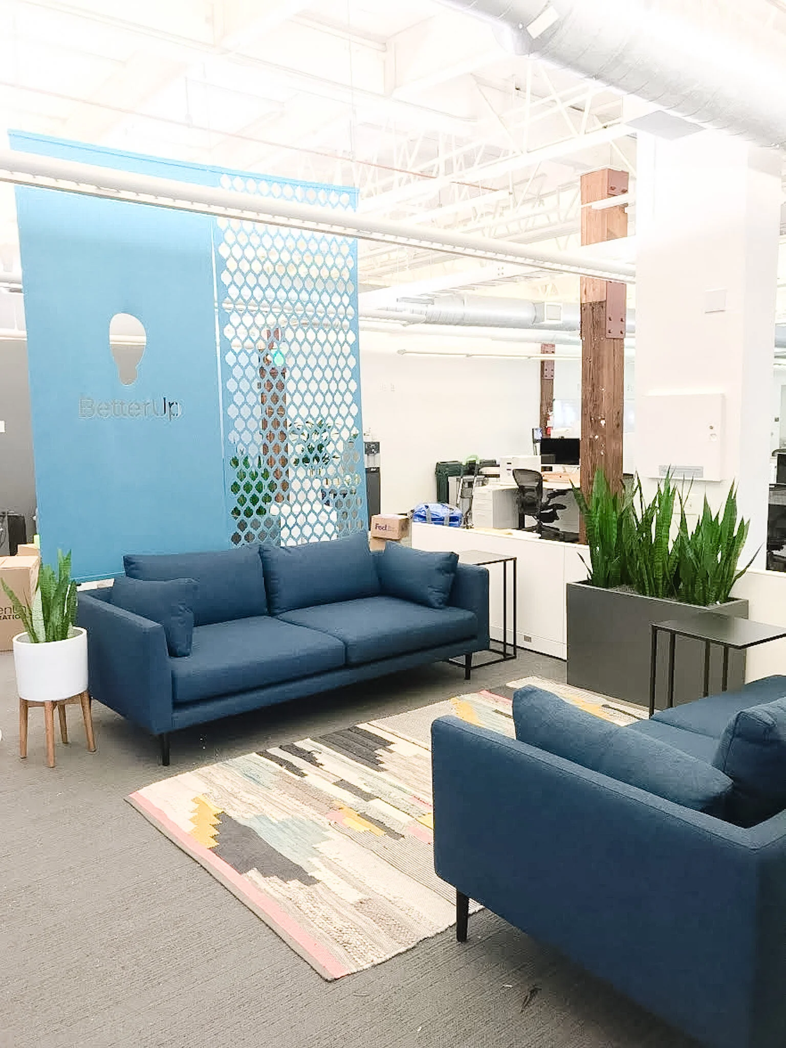   Although the timeline was a push, we had an amazing outcome and the staff were blown away when they returned from their holidays.”  