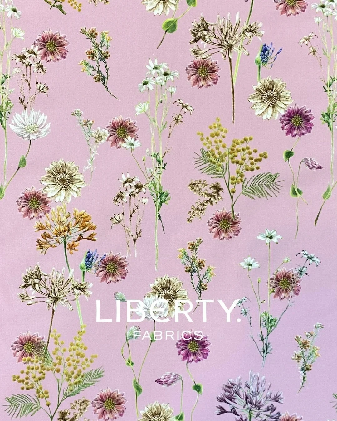 Hand-painted in watercolour with delicate pencil hatching, this charming floral landscape brings together a meadow of blooms &mdash; including agapanthus, mimosa, flannel flower, waxflower and Australian strawflower.

We may not be able to name every