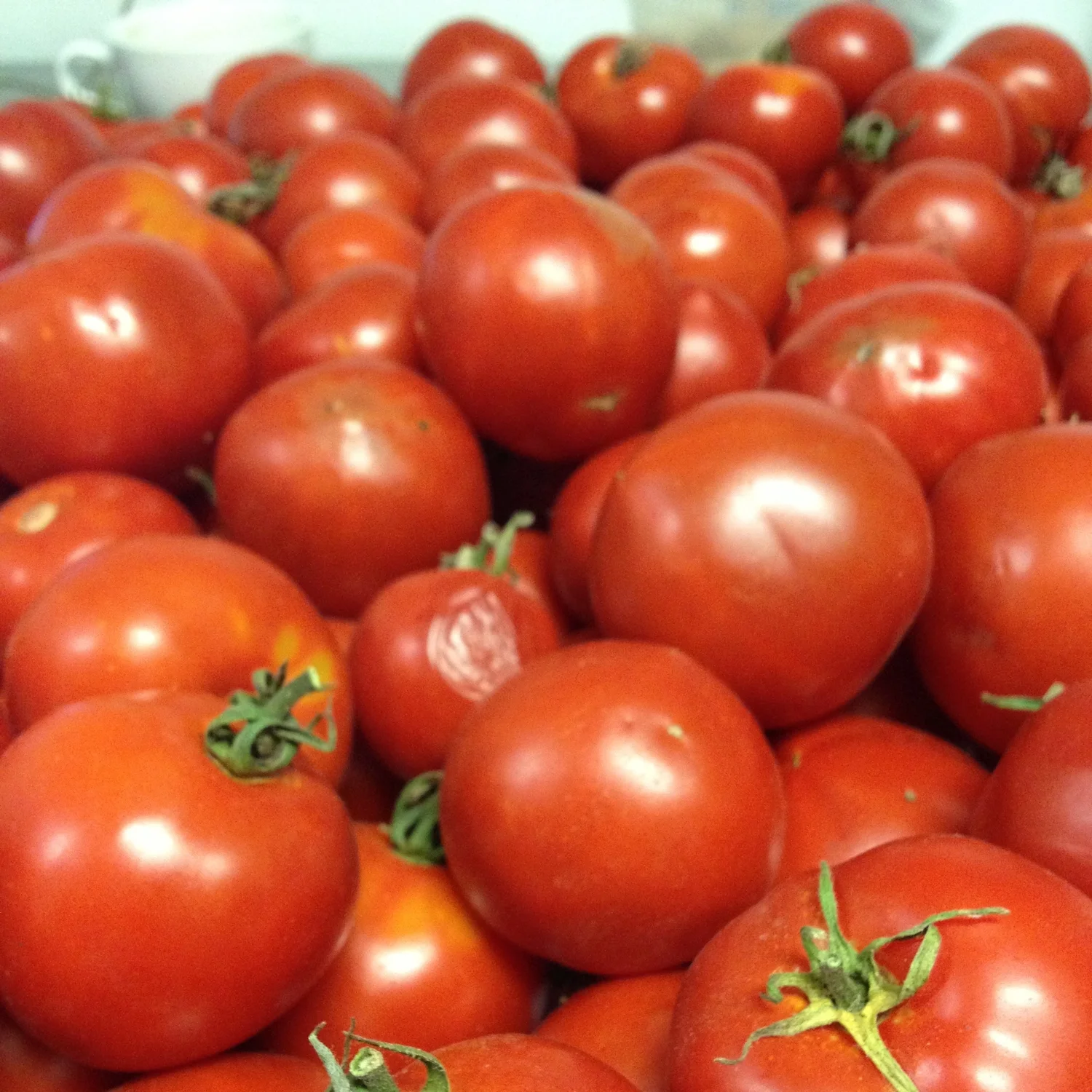 August 2014: Sweet Tomato