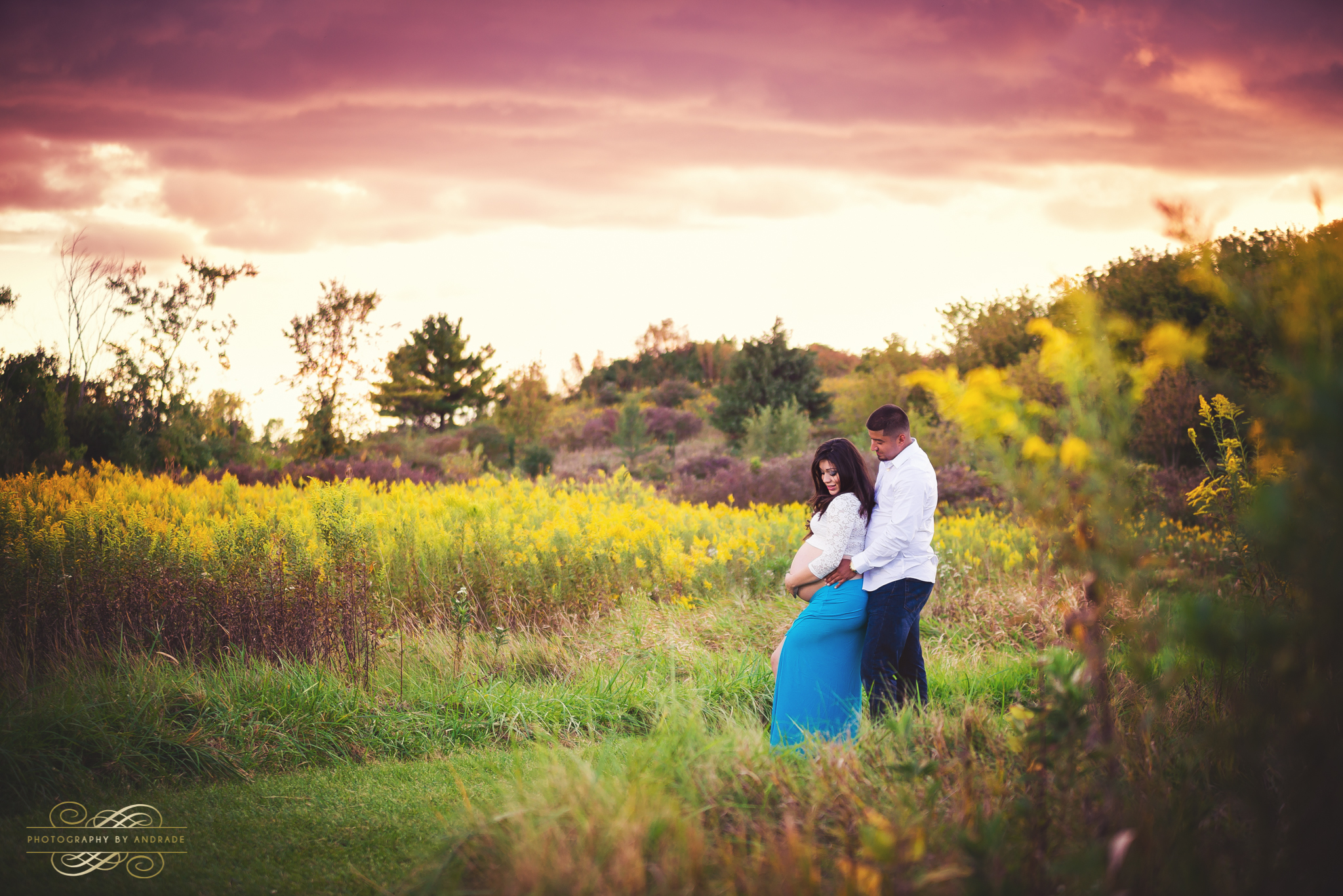 Aurora Naperville Chicago Maternity Photography session at Oakhurst Forest Preserve -7.jpg