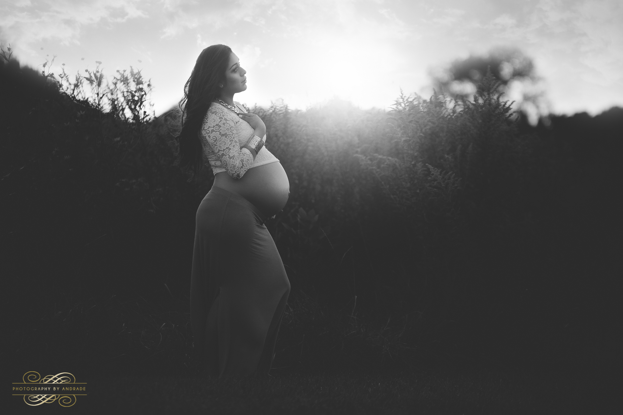 Aurora Naperville Chicago Maternity Photography session at Oakhurst Forest Preserve -30.jpg