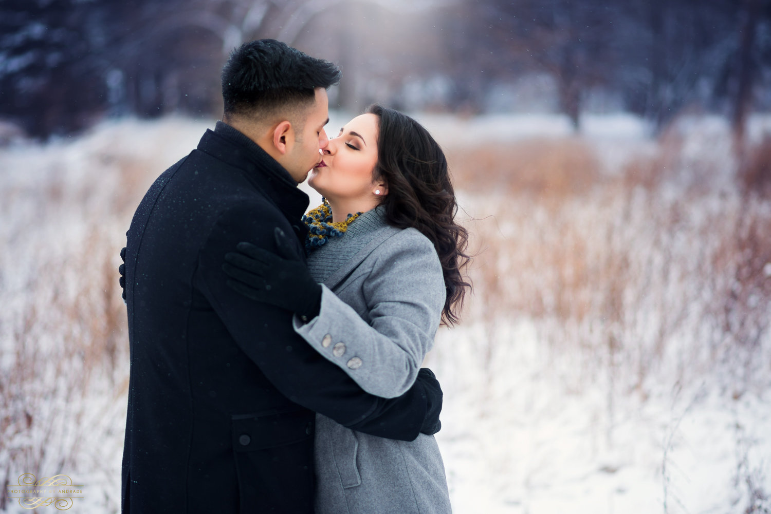 Morton Arboretum Engagement Session by Photographybyandrade.com-1.jpg