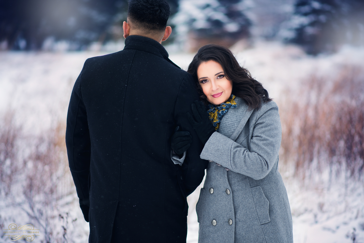 Morton Arboretum Engagement Session by Photographybyandrade.com-5.jpg