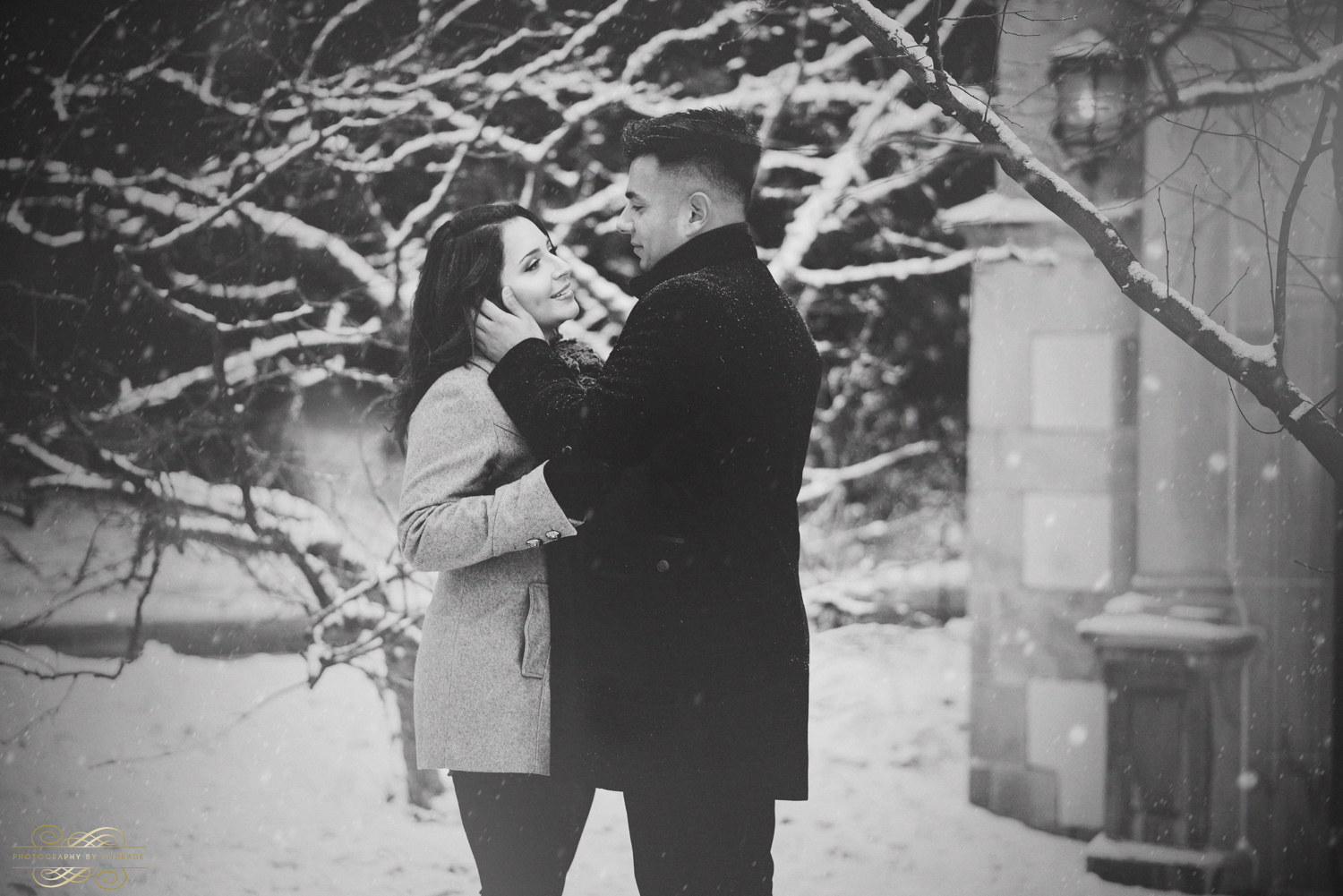 Morton Arboretum Engagement Session by Photographybyandrade.com-13.jpg