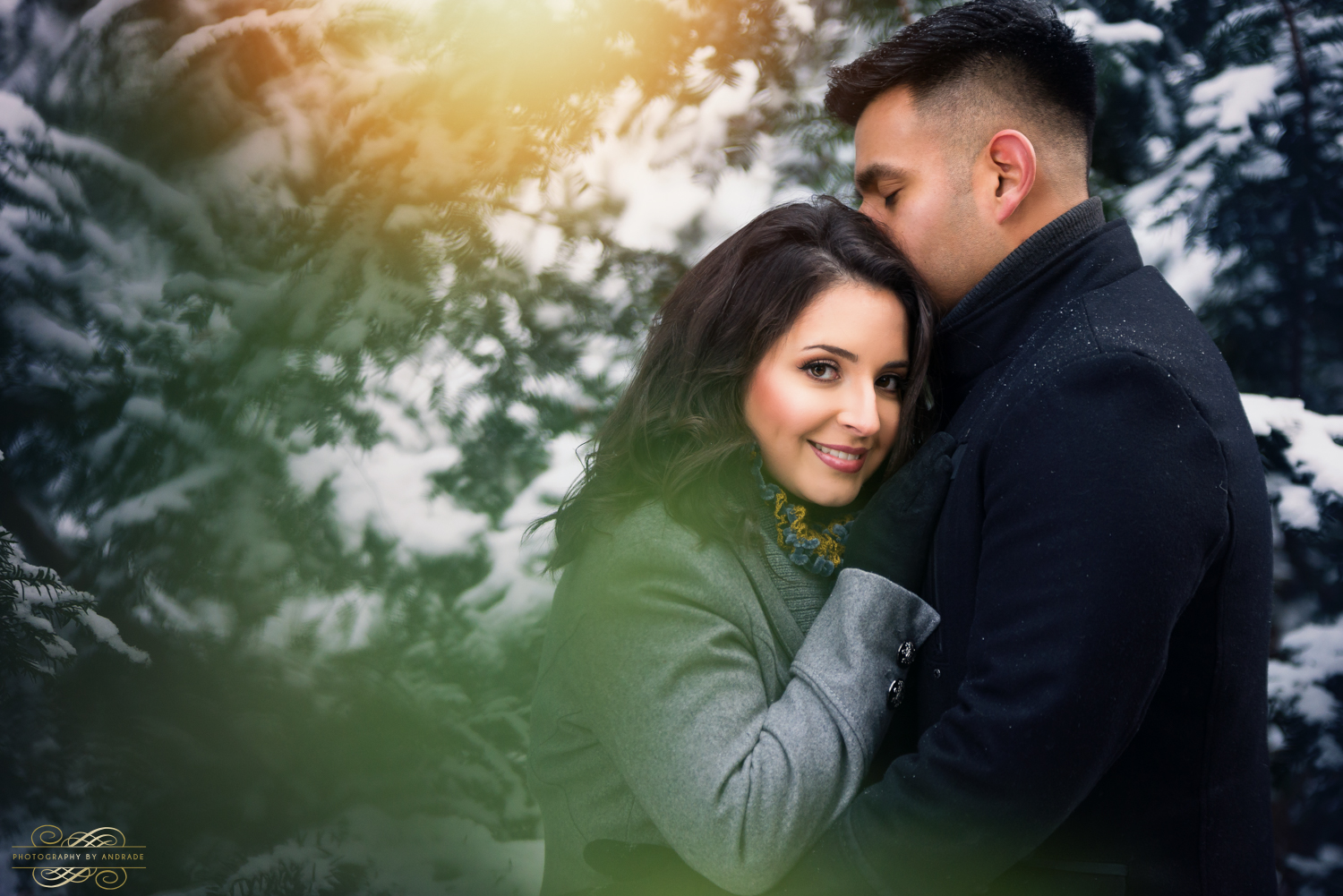 Morton Arboretum Engagement Session by Photographybyandrade.com-21.jpg