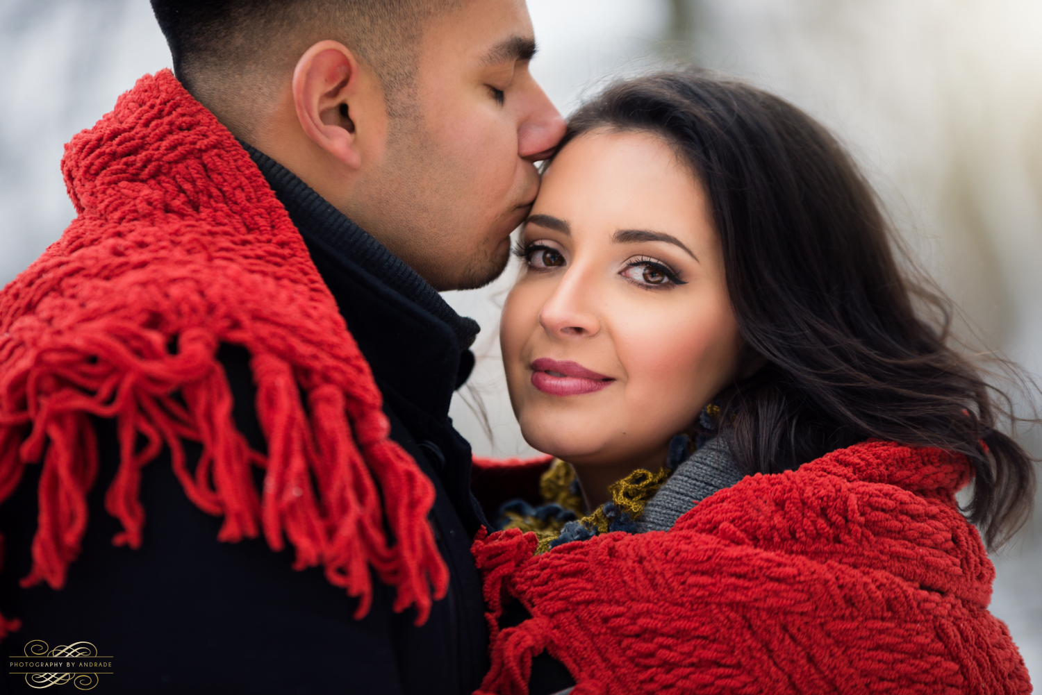 Morton Arboretum Engagement Session by Photographybyandrade.com-27.jpg