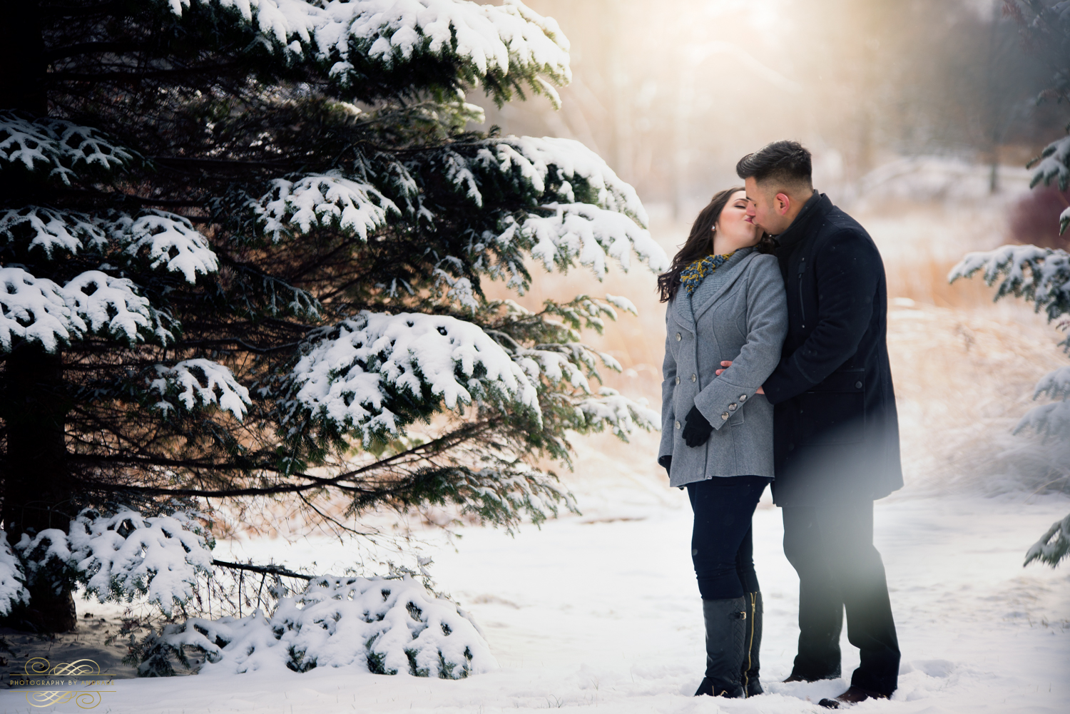 Morton Arboretum Engagement Session by Photographybyandrade.com-32.jpg