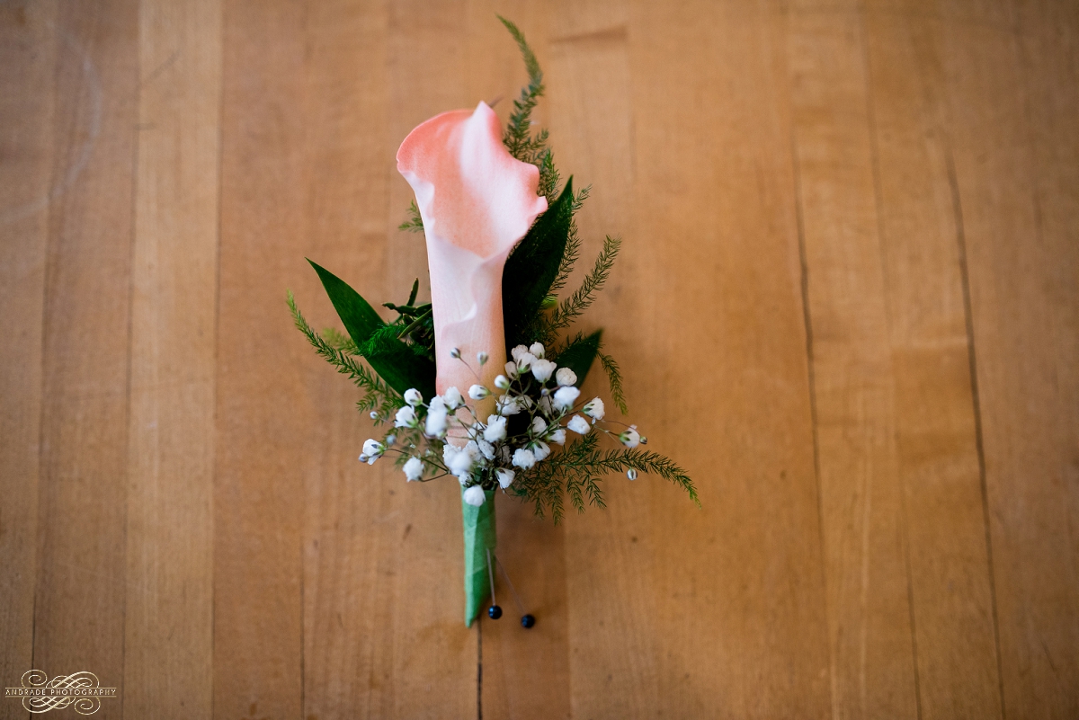 Meggie + Alex Chicago Naperville Wedding Photography_0066.jpg