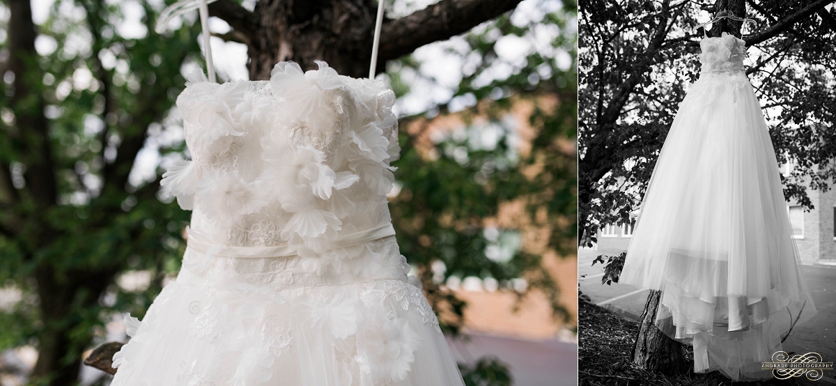 Lindsey + Eric Alpine Banquets Darien Illinois Wedding Photography_0004.jpg