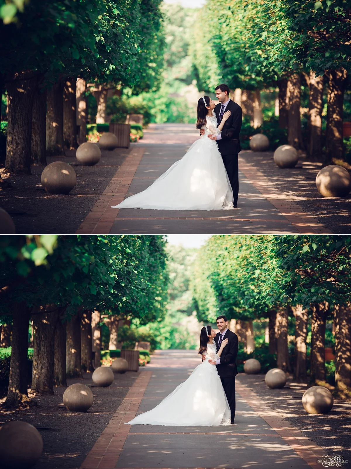 Chicago botanic gardens bridal session fine art photography_0002.jpg