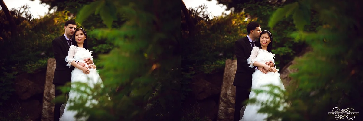 Chicago botanic gardens bridal session fine art photography_0015.jpg