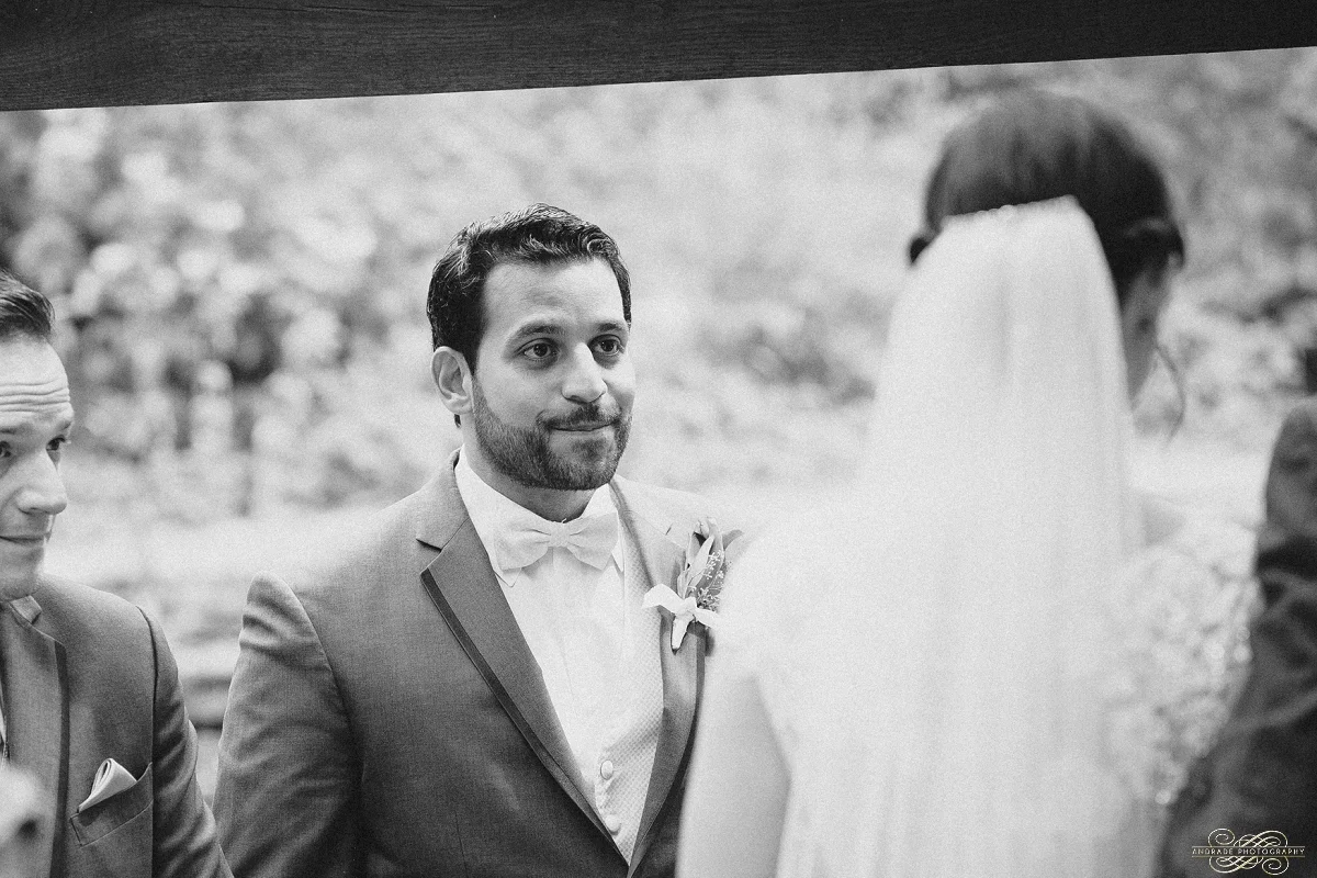 Jillian & Felix Chicago Wedding Photography at Oak & Char Trump Tower and Chicago Athletic Association_0011.jpg