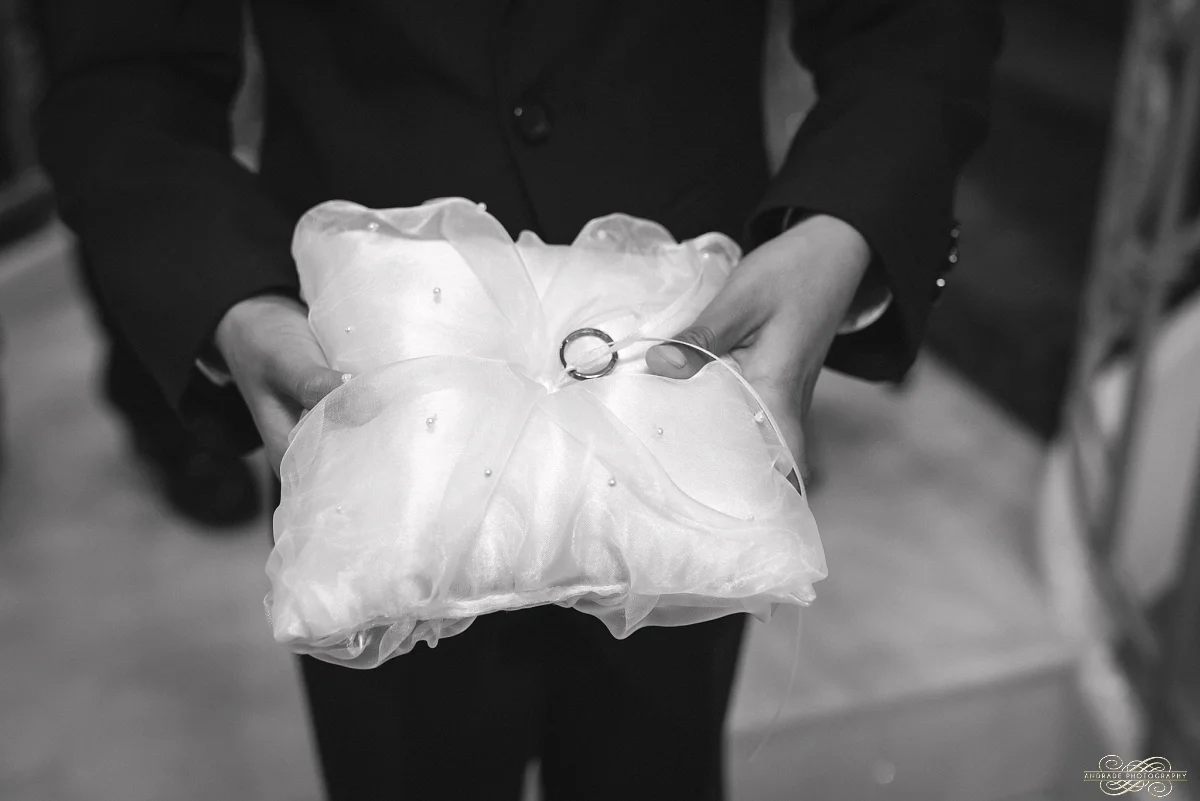 Umer + Abeer The Empress Banquet Wedding Photography Addison Illinois_0021.jpg