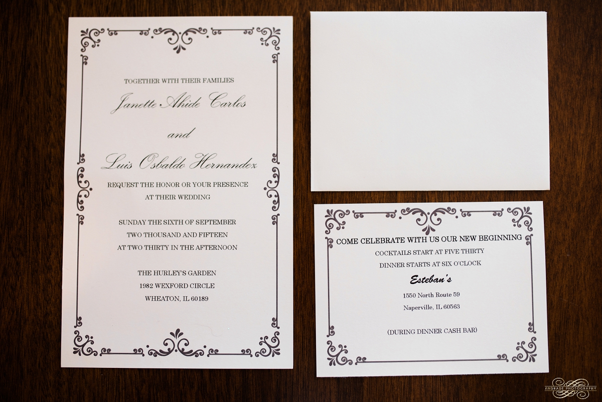 Janette + Louie Estebans Wedding Photography in Naperville - Naperville Wedding Photographer_0003.jpg