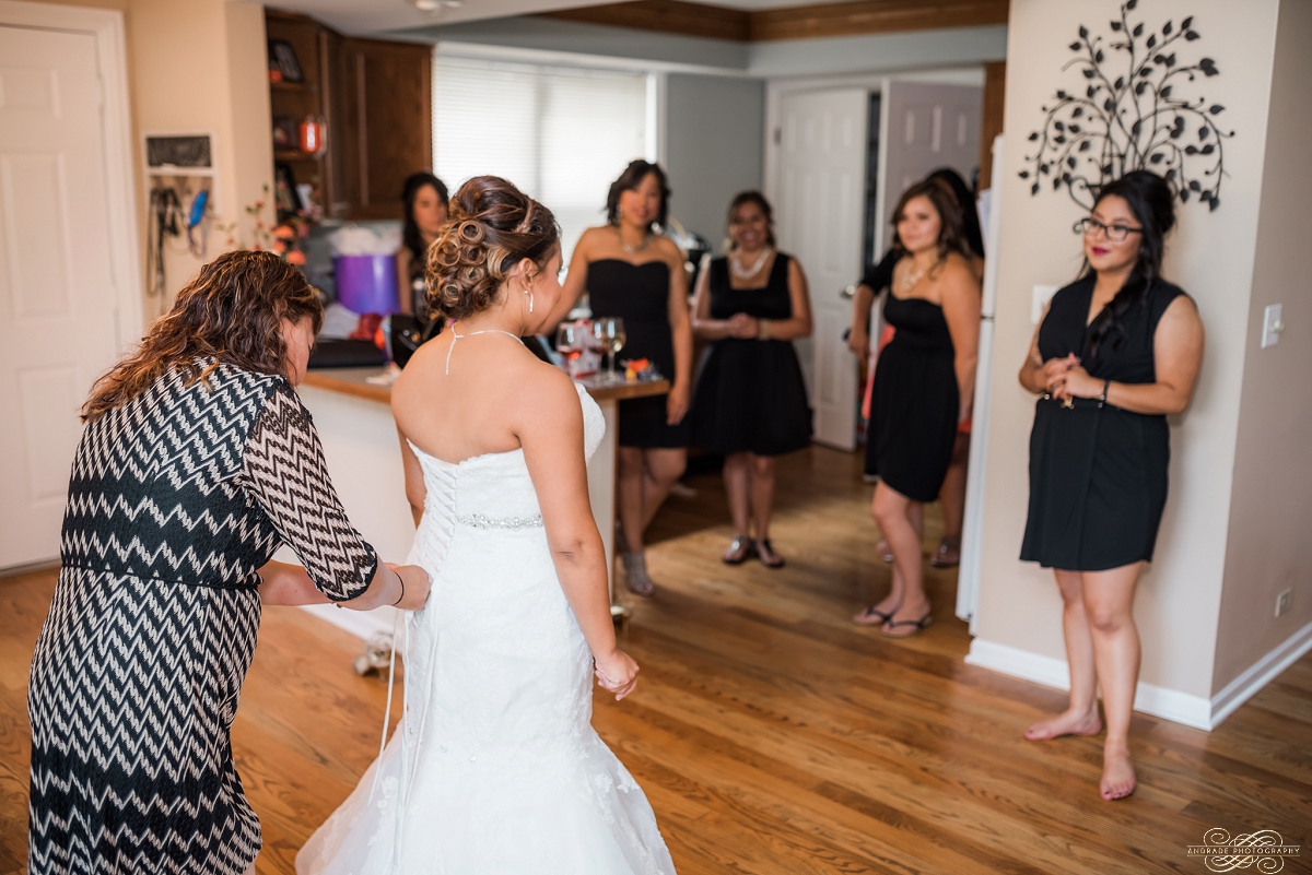 Janette + Louie Estebans Wedding Photography in Naperville - Naperville Wedding Photographer_0007.jpg