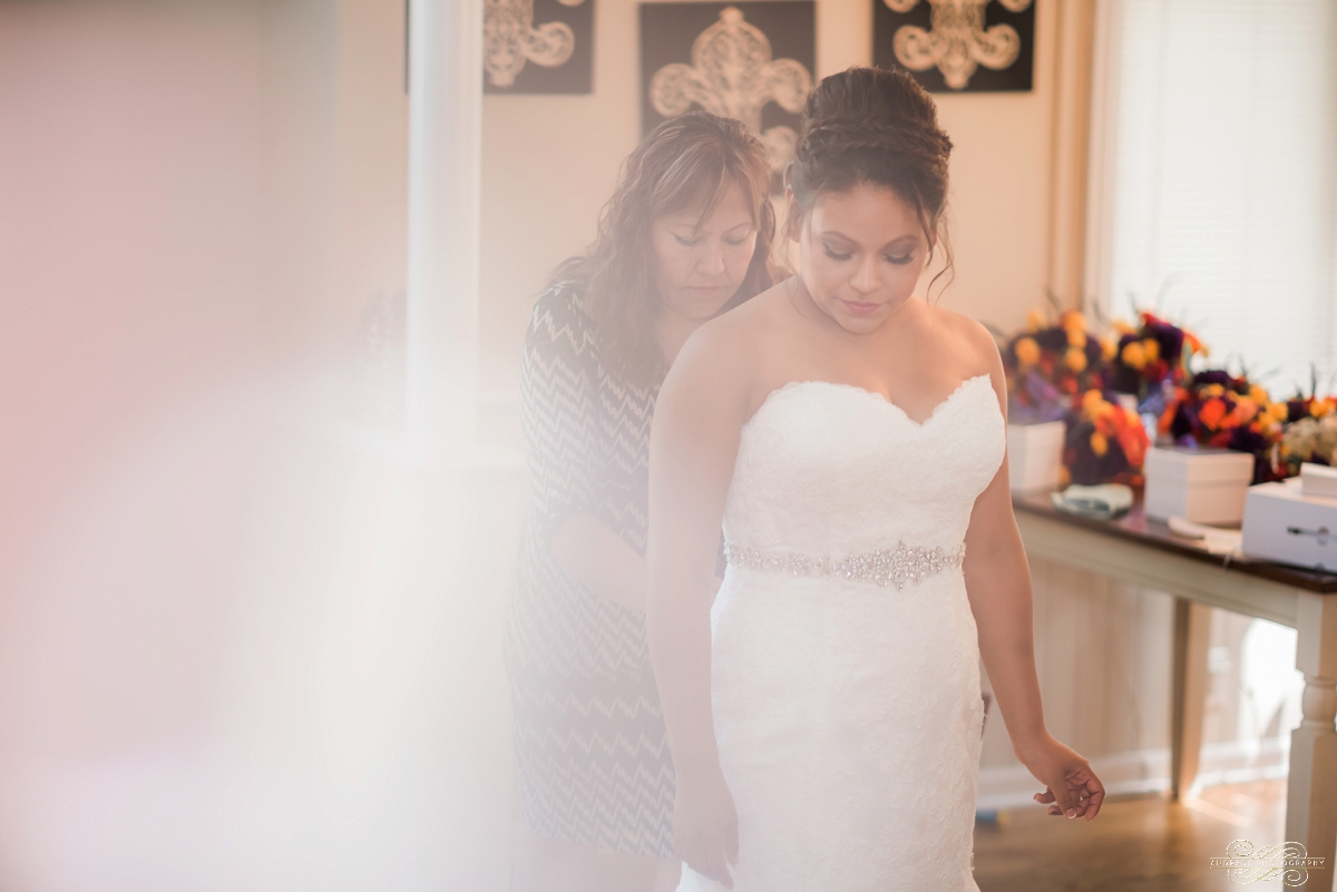 Janette + Louie Estebans Wedding Photography in Naperville - Naperville Wedding Photographer_0011.jpg