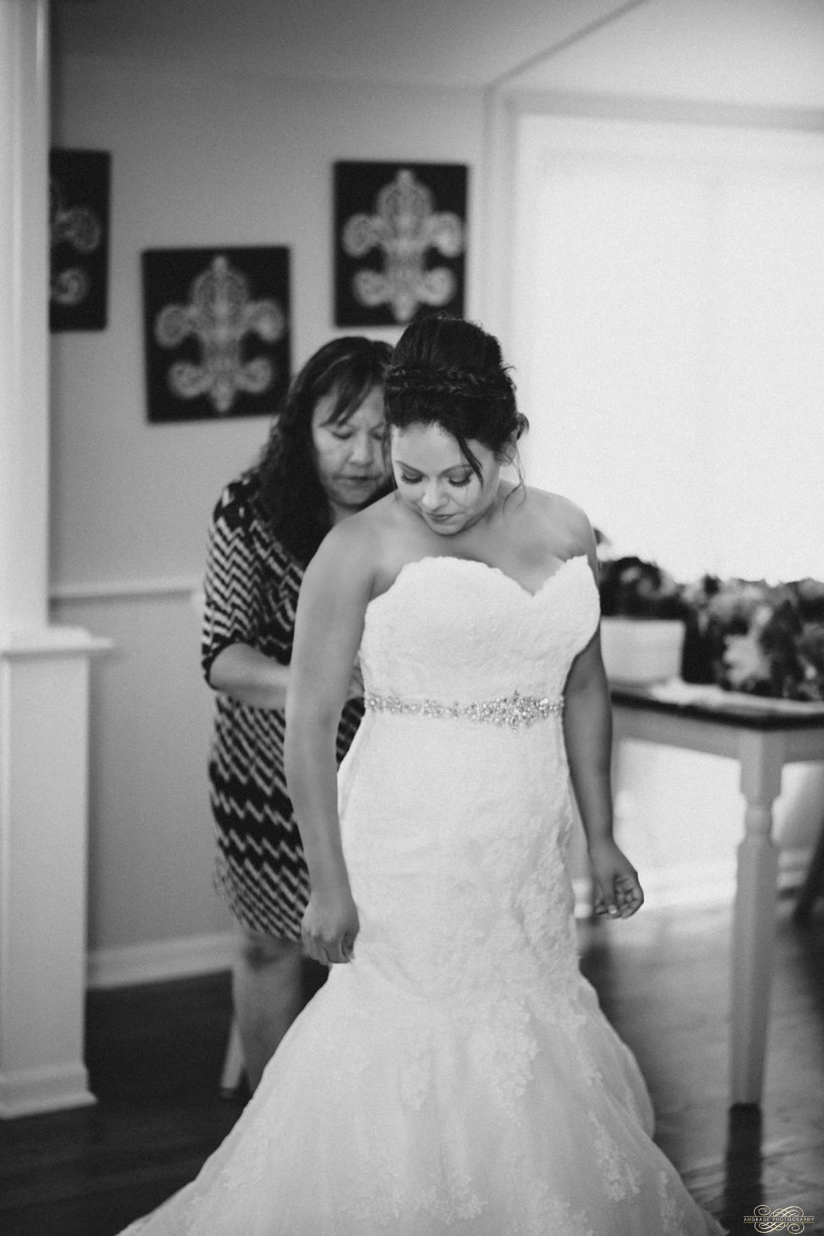 Janette + Louie Estebans Wedding Photography in Naperville - Naperville Wedding Photographer_0016.jpg