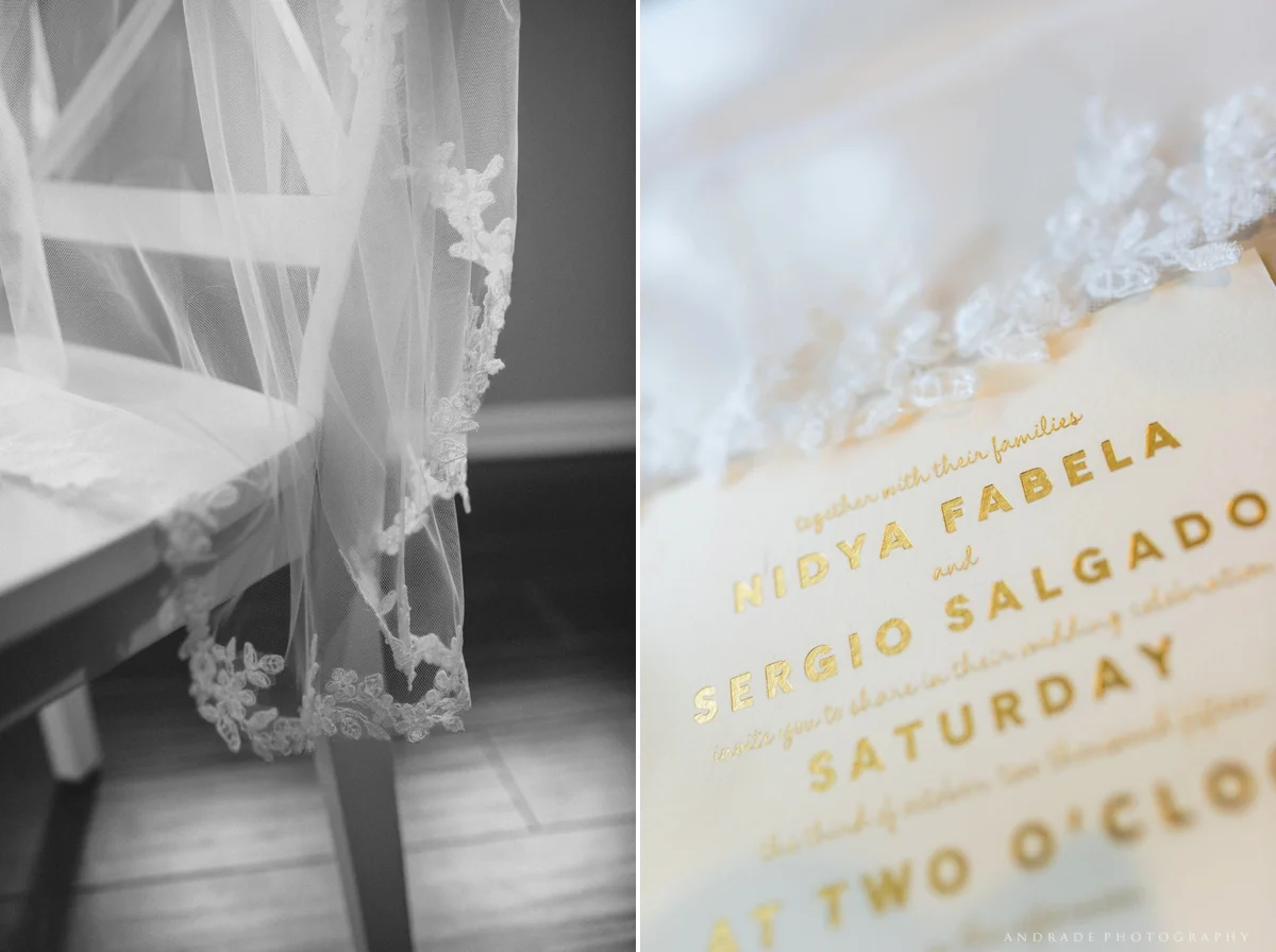 Nidya + Sergio Monasteros Wedding Chicago Illinois_0006.jpg