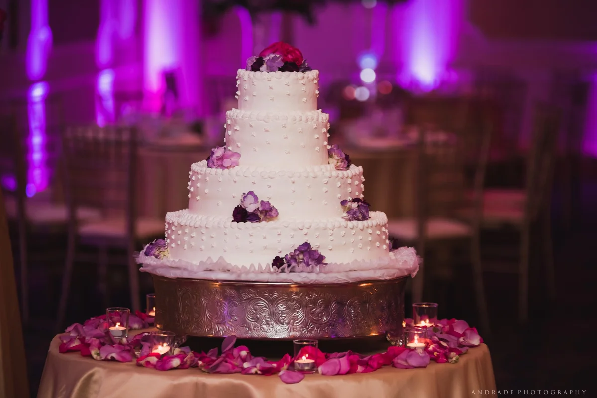 Nidya + Sergio Monasteros Wedding Chicago Illinois_0033.jpg