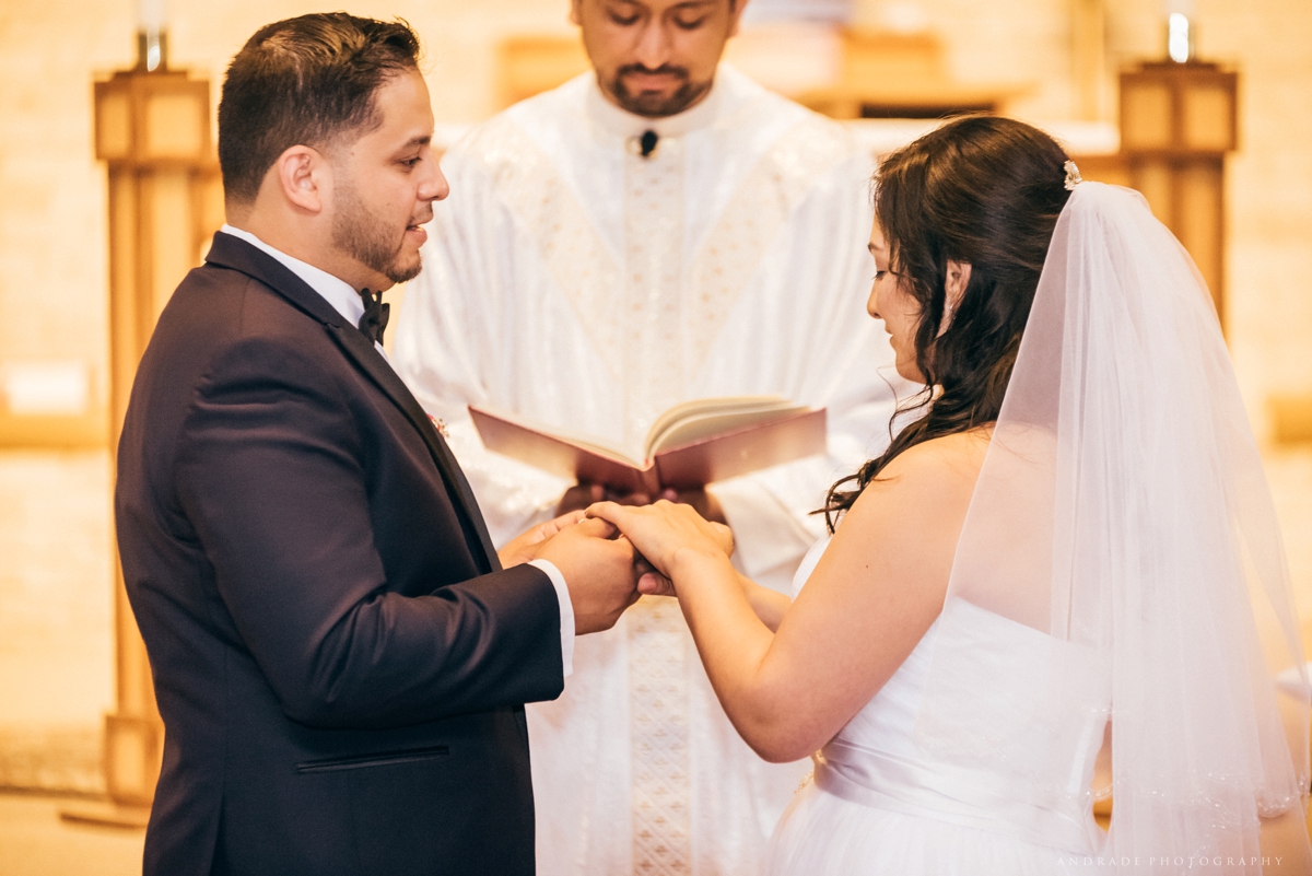 Chicago Wedding Photographer_0020.jpg