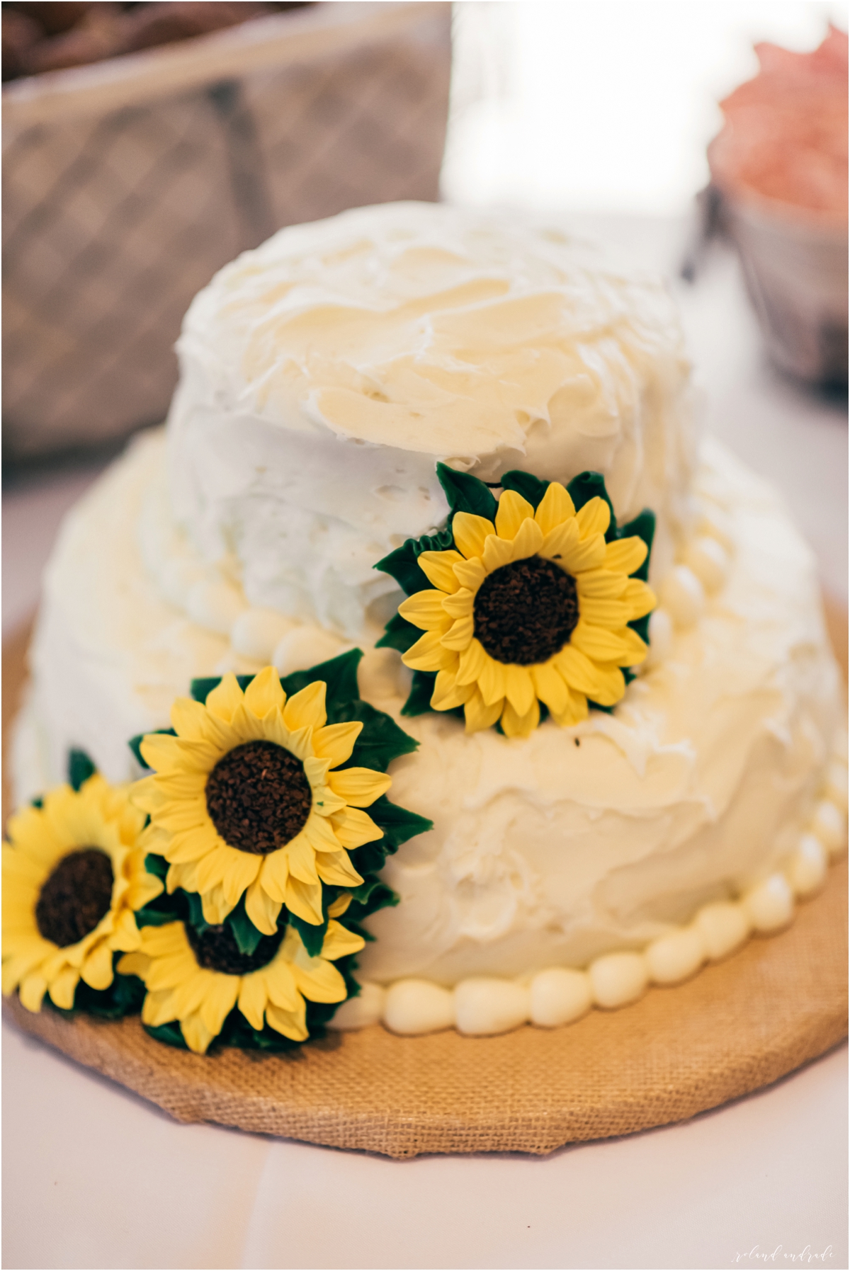 Paramount Theater Meyer Ballroom Wedding Photography Aurora Illinois - Chicago Wedding Photography_0021.jpg